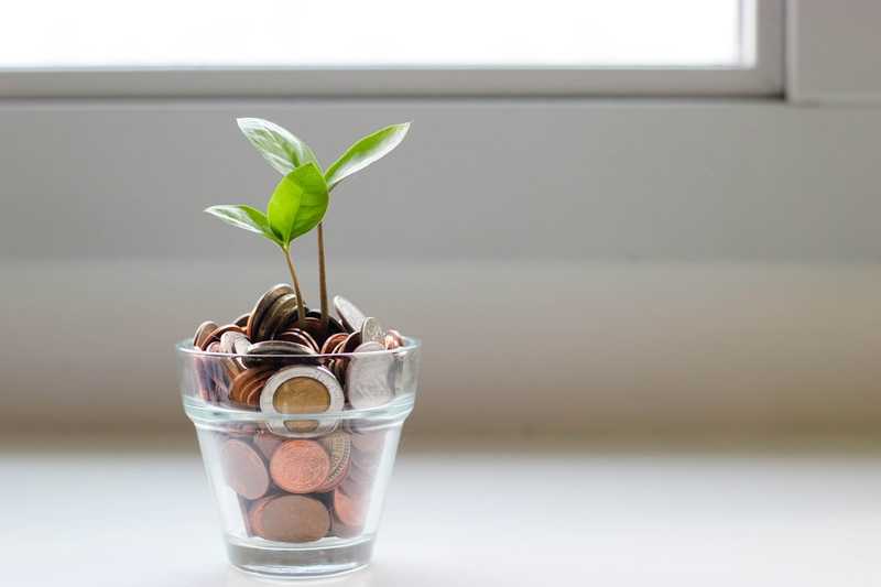 A money sprout that will one day turn into a money tree