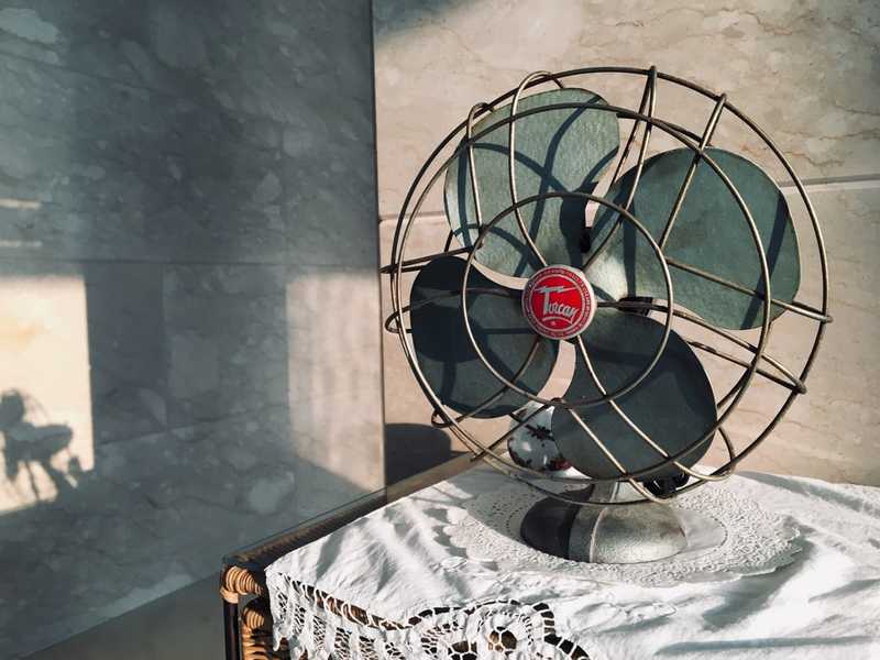 The only fan