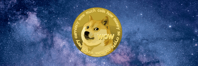 A dogecoin in space